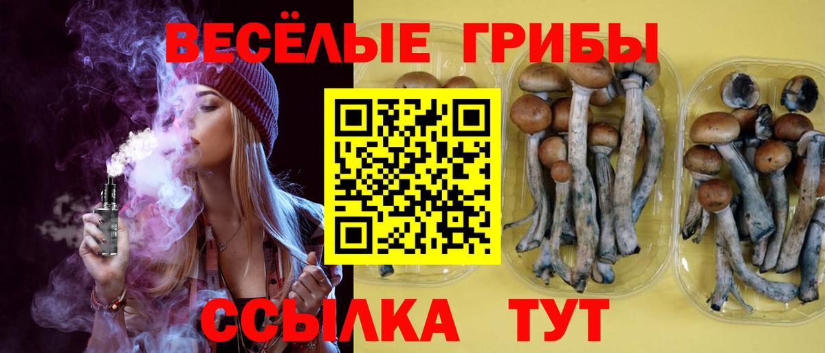 Галлюциногенные грибы прущие грибы  Вход с VPN  Избербаш  Галлюциногенные грибы Psilocybe 